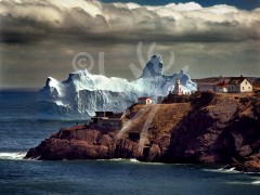 St. John's, Fort Amherst iceberg